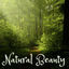 Cover Natural Beauty