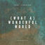 Cover (What A) Wonderful World (Acoustic)
