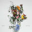 Cover A Chaos Of Flowers