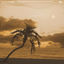 Cover Miami Feelings