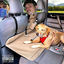 Cover Jibbits auf den Backseats