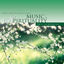 Cover Life Beyond Life - Music & Spirituality, Vol. 4