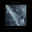 Cover Amnesie am Amazonas