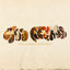 Cover Ojos Negros (YoSoyMatt Rework)