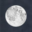 Cover Astrology Joint