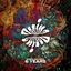 Cover Resina Records: 6 Years