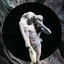Cover Reflektor
