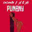 Cover Punany