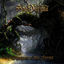 Cover Whispers of the Forest