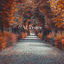 Cover At Peace