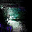 Cover they are dead