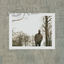Cover Said