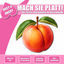 Cover Mach sie platt!