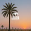 Cover Jdida