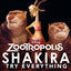 Cover Try Everything (From "Zootropolis")