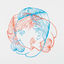 Cover Bonsai EP