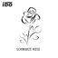 Cover Schwarze Rose