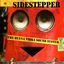 Cover The Buena Vibra Sound System