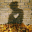 Cover Autumn