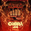 Cover Cobra Kai: Wax Off - EP