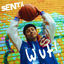 Cover Wut