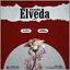 Cover Diyemedim Elveda