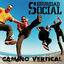 Cover Camino Vertical
