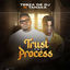Cover Trust the Process