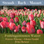 Cover Frühlingsstimmen Walzer