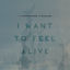 Cover I Want to Feel Alive