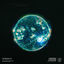 Cover Horizon