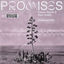 Cover Promises (Extended Mix)