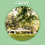 Cover moMINTs