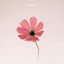 Cover sorry