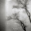 Cover Haze