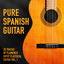 Cover Pure Spanish Guitar, Vol. 1 (25 Tracks of Flamenco Gipsy Classical Guitar)