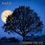 Cover L'Arbre de Vie