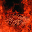 Cover IV - Ozymandias