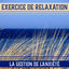 Cover Exercice de relaxation: La gestion de l'anxiété, Musique de fond pour sérénité et bien (être, Détente avec bruits de la nature)