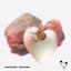 Cover Discozuma
