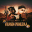 Cover Virando Problema