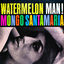 Cover Watermelon Man!