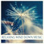 Cover Relaxing Wind Down Music: Let go of Stress, Tension, Anxiety Relief, Music Therapy Before Sleep