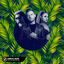 Cover Samba de Janeiro