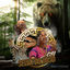 Cover SELVA DO URSO