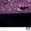 Cover Jupiter