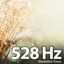 Cover 528 Hz Meditation Tones Brain Music