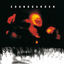 Cover Superunknown (20th Anniversary)