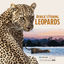 Cover Africa's Fishing Leopards (Music from the Original TV Show)