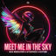 Cover Meet Me In The Sky